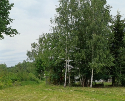 20260610_143942